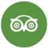 Aviator TripAdvisor
